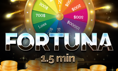 webok9 Fortuna 1.5 min